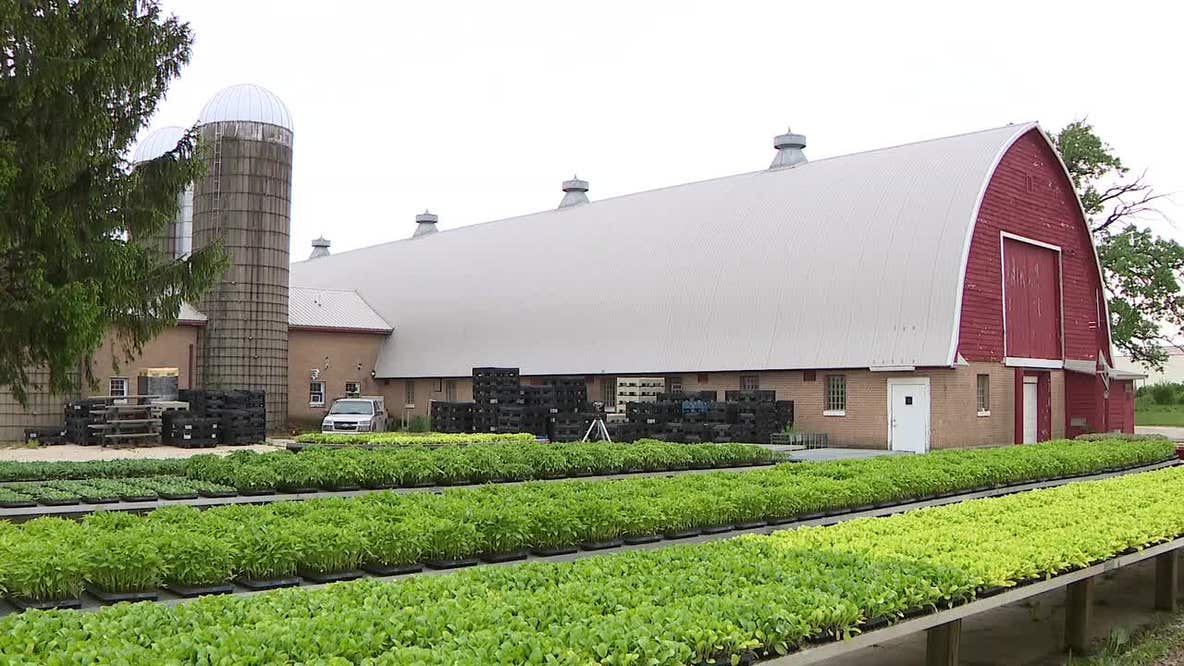 Wet Wisconsin spring's impact on farms
